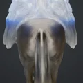 Mô hình 3D người phụ nữ cưỡi ngựa huyền bí (Frau auf einen pferd) - Thumbnail 5