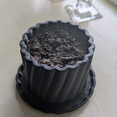 Chậu xoắn Helical Planter & Tray