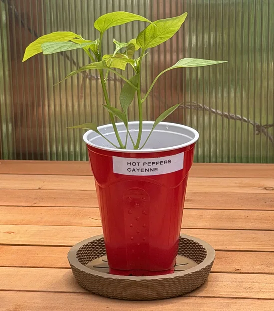 Khay hứng chậu cây tham số (Parametric Planter Saucer) - Image 6