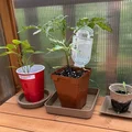 Khay hứng chậu cây tham số (Parametric Planter Saucer) - Thumbnail 7
