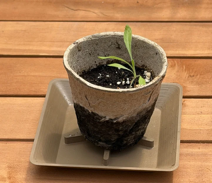 Khay hứng chậu cây tham số (Parametric Planter Saucer) - Image 9