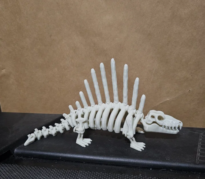 Mô hình xương khủng long Dimetrodon linh hoạt (Articulated Skeleton) - Image 1