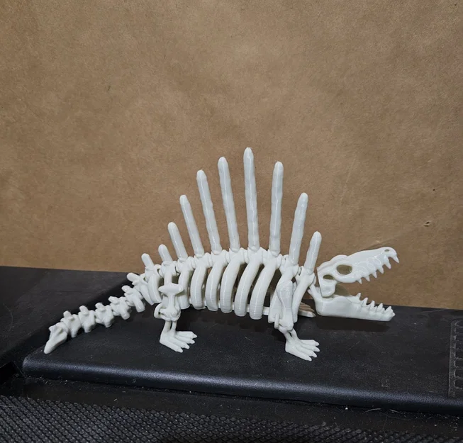 Mô hình xương khủng long Dimetrodon linh hoạt (Articulated Skeleton) - Image 2
