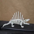 Mô hình xương khủng long Dimetrodon linh hoạt (Articulated Skeleton) - Thumbnail 2