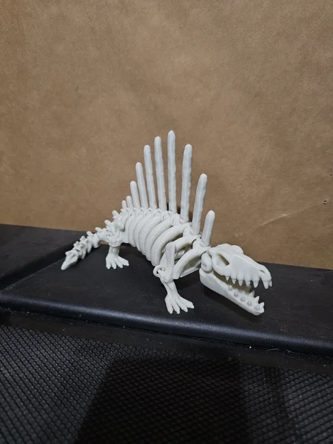 Mô hình xương khủng long Dimetrodon linh hoạt (Articulated Skeleton) - Image 3