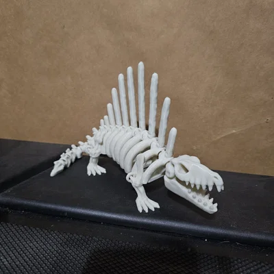 Mô hình xương khủng long Dimetrodon linh hoạt (Articulated Skeleton)