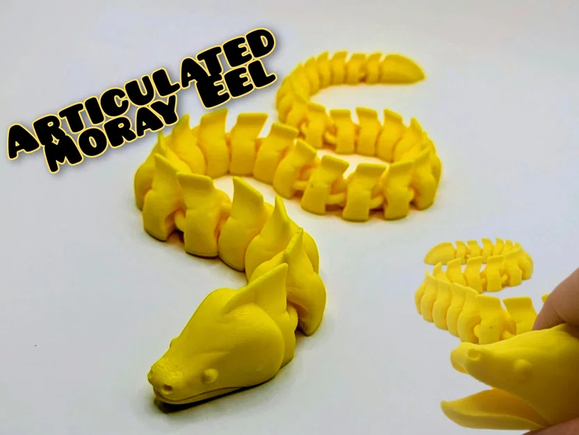 Cá Chình Moray Dạng Articulated (Articulated Moray Eel) - Image 1