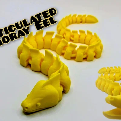 Cá Chình Moray Dạng Articulated (Articulated Moray Eel)