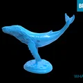 Mô hình cá voi 3D (WHALE) trang trí bàn làm việc cực đẹp - Thumbnail 1
