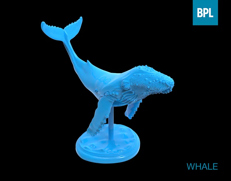 Mô hình cá voi 3D (WHALE) trang trí bàn làm việc cực đẹp - Image 3
