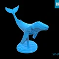 Mô hình cá voi 3D (WHALE) trang trí bàn làm việc cực đẹp - Thumbnail 3