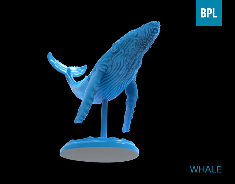 Mô hình cá voi 3D (WHALE) trang trí bàn làm việc cực đẹp - Image 4