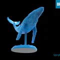 Mô hình cá voi 3D (WHALE) trang trí bàn làm việc cực đẹp - Thumbnail 4