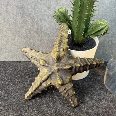 Sao Biển (Starfish)