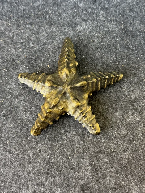 Sao Biển (Starfish) - Image 3
