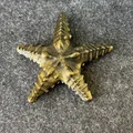 Sao Biển (Starfish) - Thumbnail 3