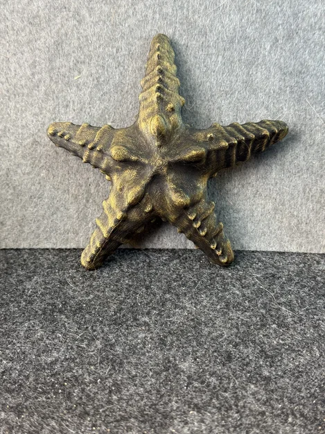 Sao Biển (Starfish) - Image 4