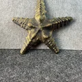 Sao Biển (Starfish) - Thumbnail 4