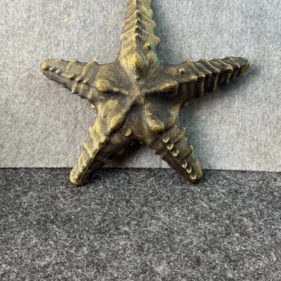 Sao Biển (Starfish)