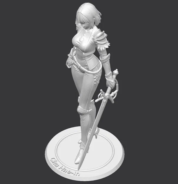Cha Hae-in (Solo Leveling) – Mẫu 3D figure Hunter S-Rank 150mm - Image 1