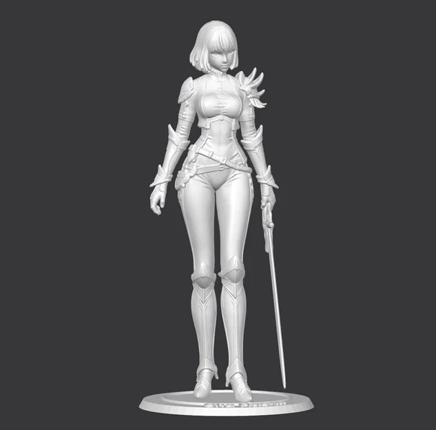 Cha Hae-in (Solo Leveling) – Mẫu 3D figure Hunter S-Rank 150mm - Image 3
