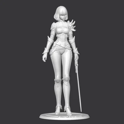 Cha Hae-in (Solo Leveling) – Mẫu 3D figure Hunter S-Rank 150mm