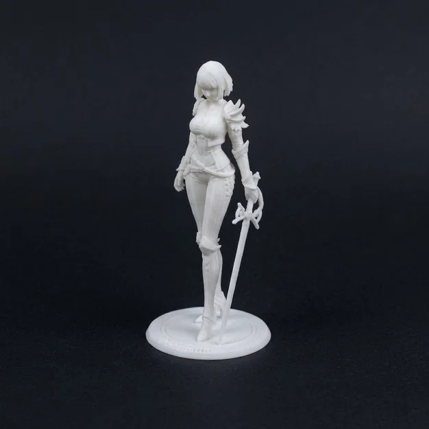 Cha Hae-in (Solo Leveling) – Mẫu 3D figure Hunter S-Rank 150mm - Image 5