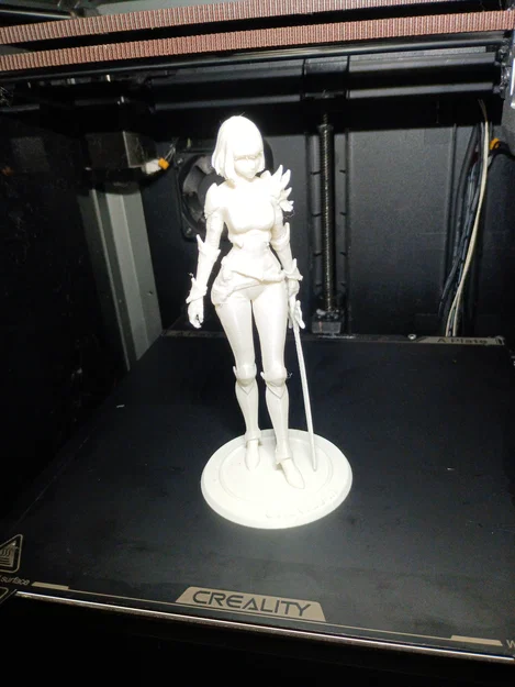 Cha Hae-in (Solo Leveling) – Mẫu 3D figure Hunter S-Rank 150mm - Image 6
