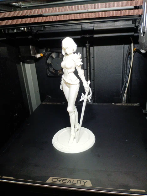 Cha Hae-in (Solo Leveling) – Mẫu 3D figure Hunter S-Rank 150mm - Image 7