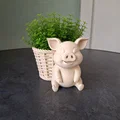 Chậu cây Heo Dễ Thương (Cute Pig Planter) - Thumbnail 1