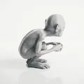 Tượng Gollum Lord of the Rings - Mẫu 3D Printable (STL) Siêu Chi Tiết - Thumbnail 3