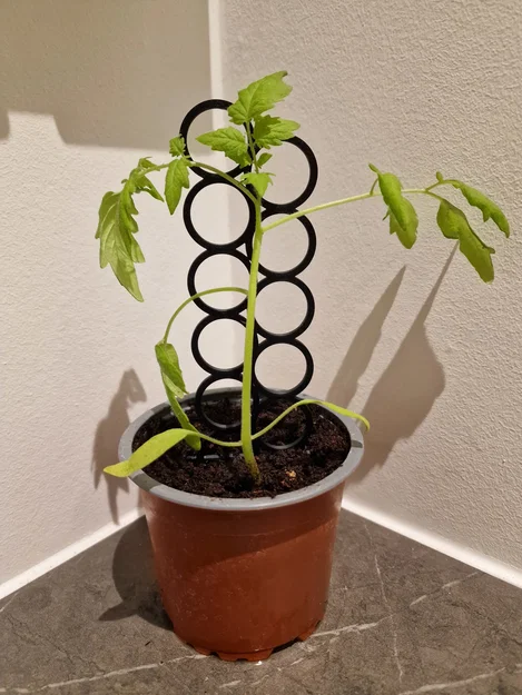 Khung giá đỡ cây cảnh 3D (Plant Holder) mini cho vườn trong nhà - Image 1