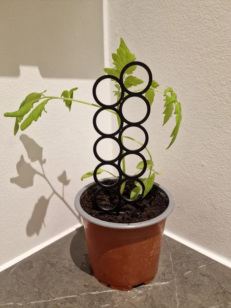 Khung giá đỡ cây cảnh 3D (Plant Holder) mini cho vườn trong nhà - Image 3