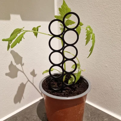 Khung giá đỡ cây cảnh 3D (Plant Holder) mini cho vườn trong nhà