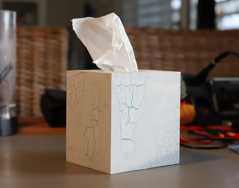 Hộp đựng khăn giấy (Tissue box) - Image 1
