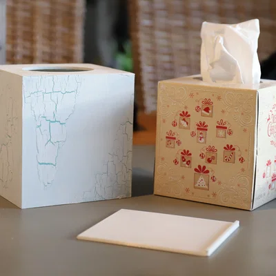 Hộp đựng khăn giấy (Tissue box)