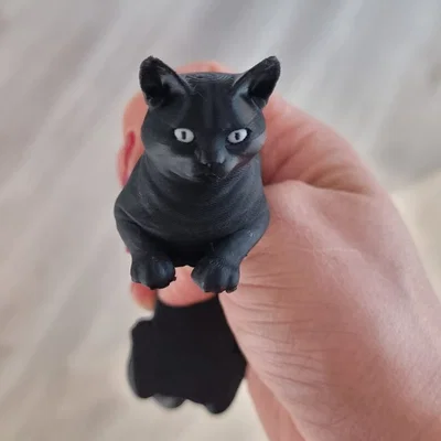 Mô hình mèo đen cử động linh hoạt (Articulated Black Cat) in 3D