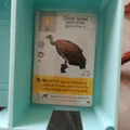 Organizer Wingspan (Bài bọc sleeve – Vừa hộp gốc) - Thumbnail 2