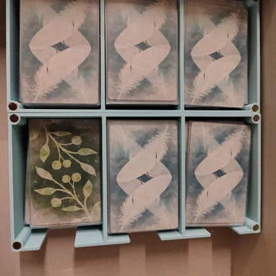 Organizer Wingspan (Bài bọc sleeve – Vừa hộp gốc)