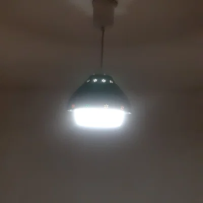 Chụp đèn Wildflowers (Wildflowers lampshade) cho đui E27
