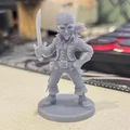 Bộ sưu tập mô hình 3D cướp biển cực chất cho dân chơi D&D - Thumbnail 2