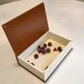 Secret Storage Book - Norse Ram (Sách cất giấu bí mật - Dê đực Bắc Âu) - Thumbnail 3