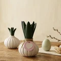 Trang trí củ hoa Hyacinth mùa xuân – Decor Easter - Thumbnail 2