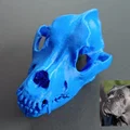 Hộp sọ chó (Cane Corso) từ bản scan - Thumbnail 1
