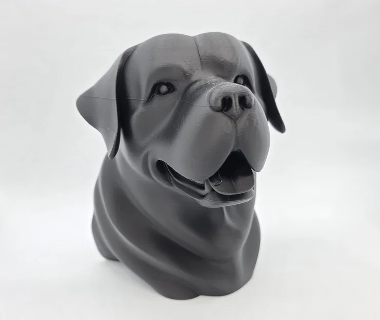 Bust Rottweiler Vui Vẻ (Rottweiler Bust Happy) - Image 1