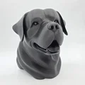 Bust Rottweiler Vui Vẻ (Rottweiler Bust Happy) - Thumbnail 1