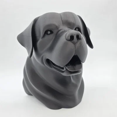 Bust Rottweiler Vui Vẻ (Rottweiler Bust Happy)