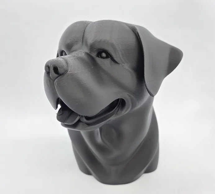 Bust Rottweiler Vui Vẻ (Rottweiler Bust Happy) - Image 2