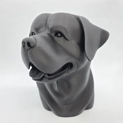 Bust Rottweiler Vui Vẻ (Rottweiler Bust Happy)
