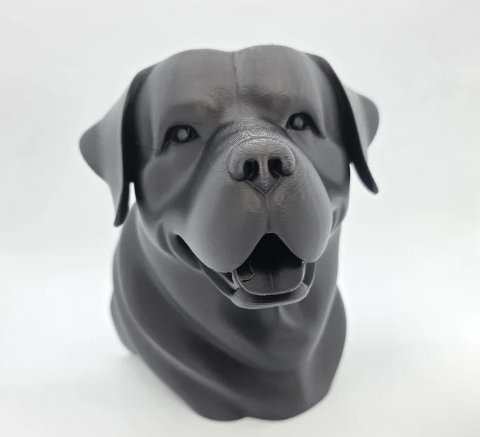 Bust Rottweiler Vui Vẻ (Rottweiler Bust Happy) - Image 3